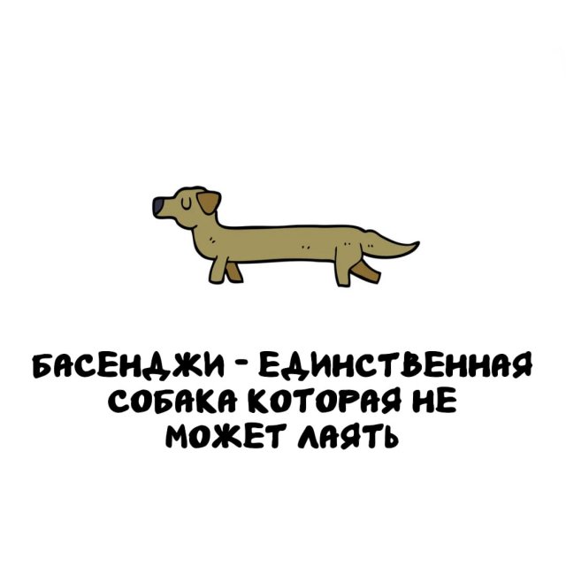 Интересные факты на все случаи жизни