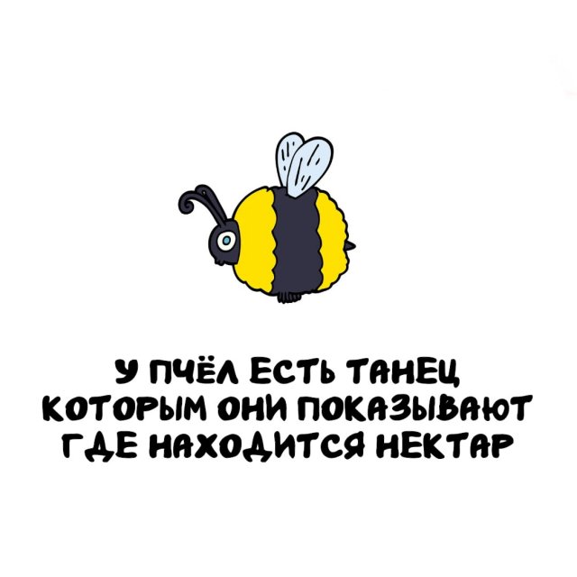 Интересные факты на все случаи жизни