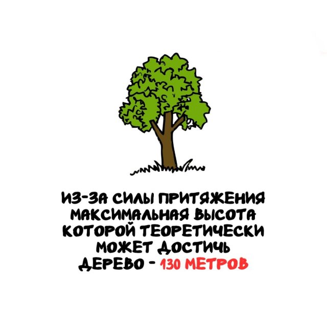 Интересные факты на все случаи жизни