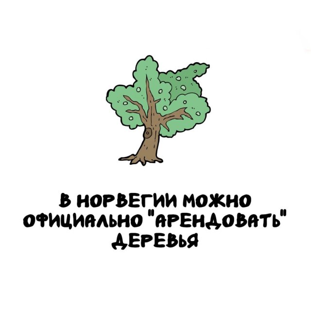 Интересные факты на все случаи жизни