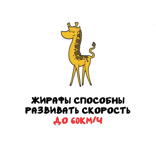 Интересные факты на все случаи жизни