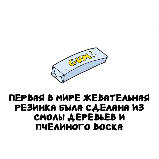 Интересные факты на все случаи жизни