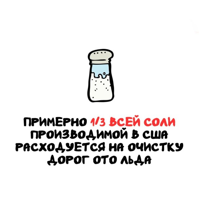 Интересные факты на все случаи жизни