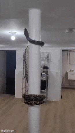 Подборка гифок -  21.08.2025