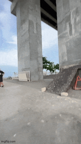 Подборка гифок -  21.08.2025