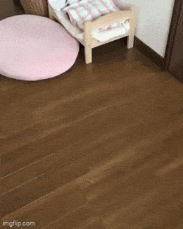 Подборка гифок -  21.08.2025