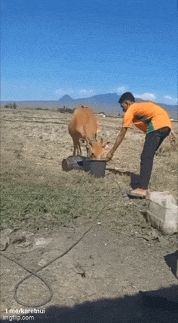 Подборка гифок -  21.08.2025