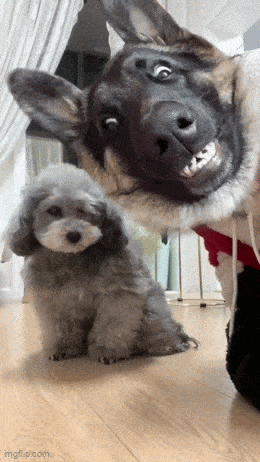 Подборка гифок -  21.08.2025