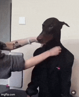 Подборка гифок -  21.08.2025