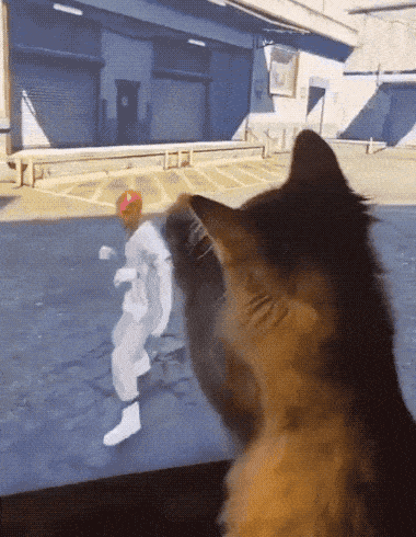 Подборка гифок -  21.08.2025