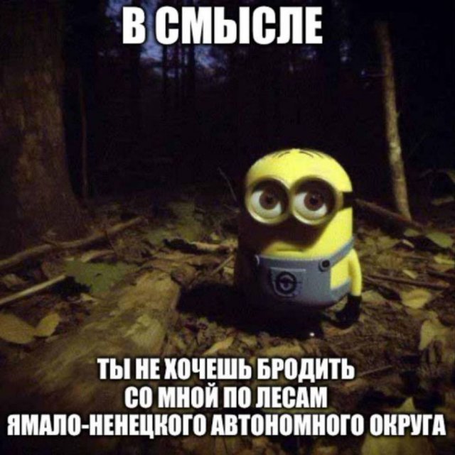 Лучшие мемы и картинки из Сети - 21.10.2025