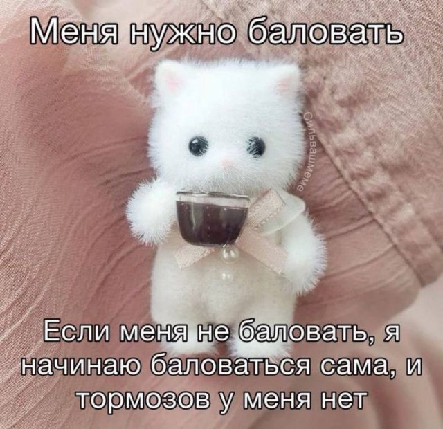 Лучшие мемы и картинки из Сети - 21.10.2025