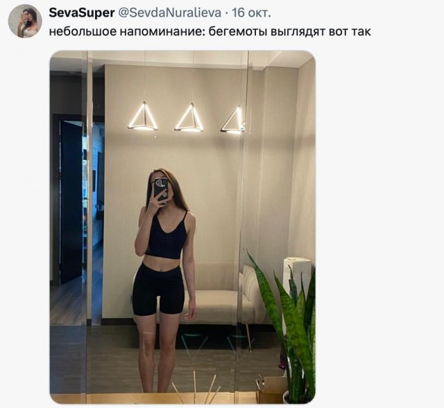 Спор дня в соцсетях: являются ли &quot;бегемотами&quot; женщины, которые весят больше 50 кг