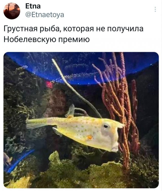 Подборка забавных твитов обо всем
