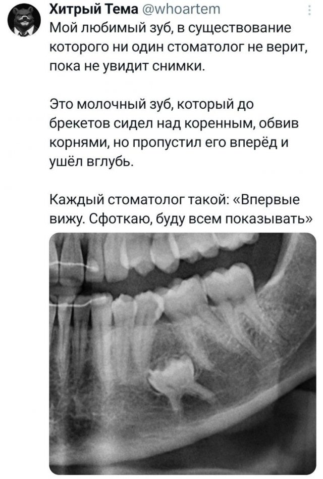 Подборка забавных твитов обо всем