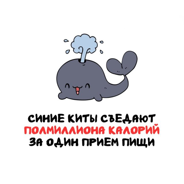 Интересные факты на все случаи жизни