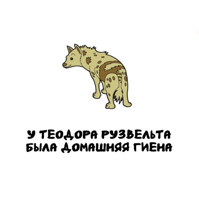 Интересные факты на все случаи жизни