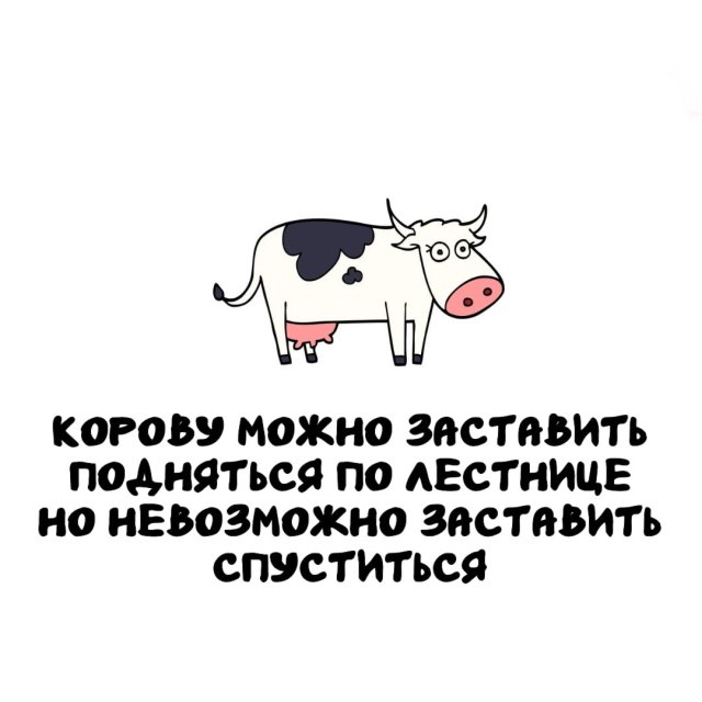 Интересные факты на все случаи жизни