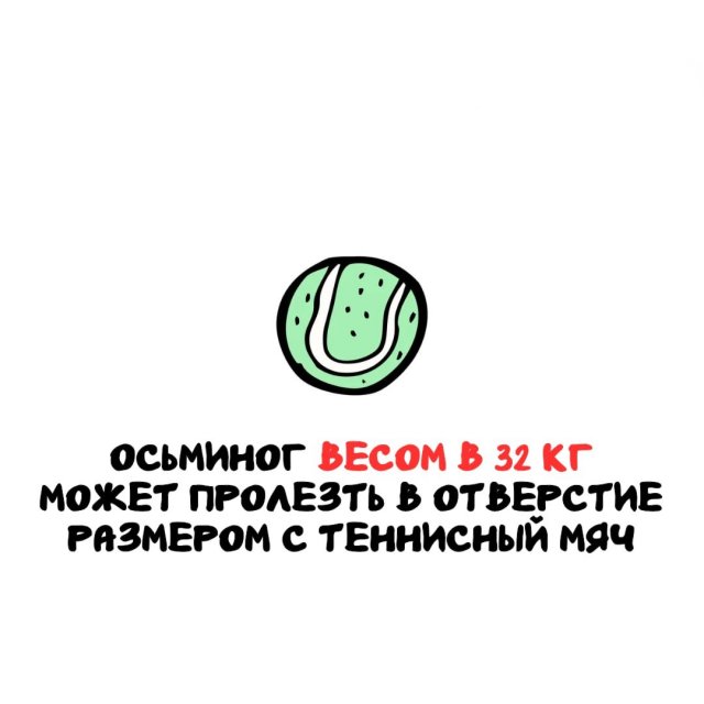 Интересные факты на все случаи жизни