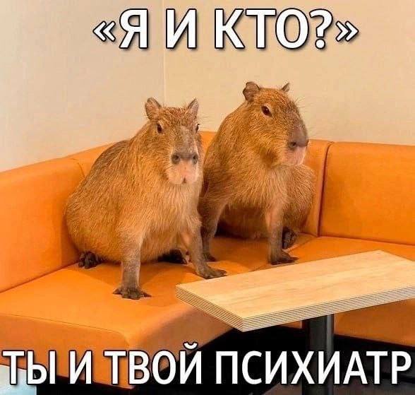 Подборка картинок. Вечерний выпуск - 22.10.2025