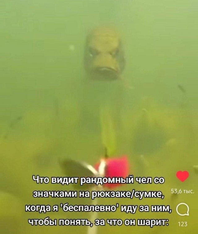 Лучшие шутки и мемы из Сети - 22.10.2025