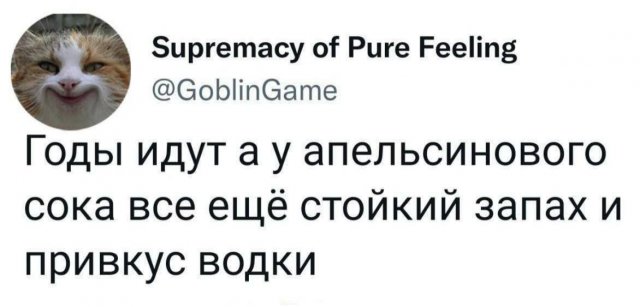 Лучшие шутки и мемы из Сети - 22.10.2025