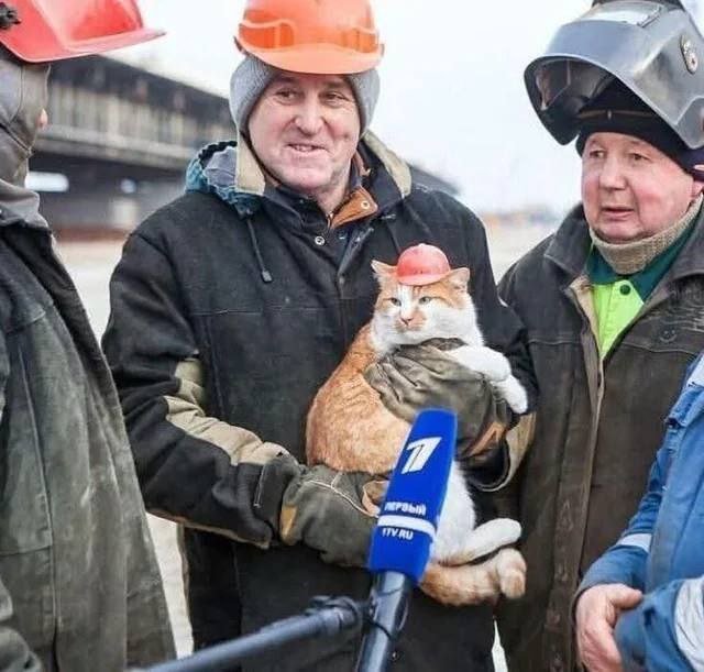 Смешные мемы - 23.10.2025