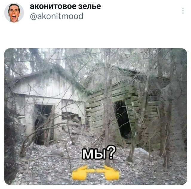 Подборка забавных твитов обо всем