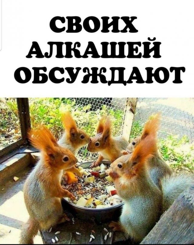Подборка картинок. Вечерний выпуск - 23.10.2025