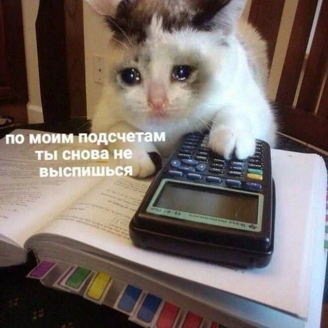 Лучшие шутки и мемы из Сети - 23.10.2025