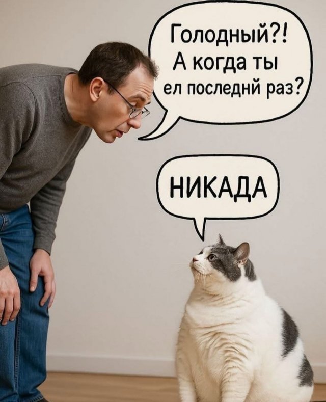 Лучшие шутки и мемы из Сети - 23.10.2025