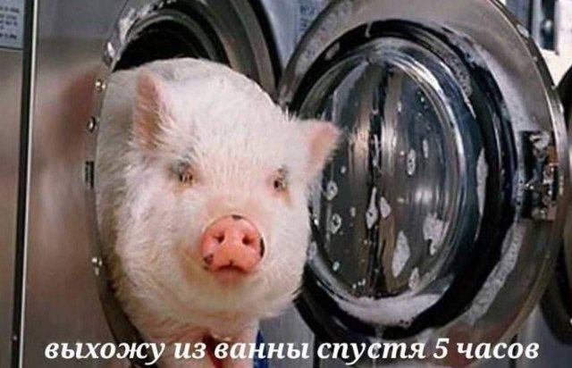 Лучшие шутки и мемы из Сети - 23.10.2025