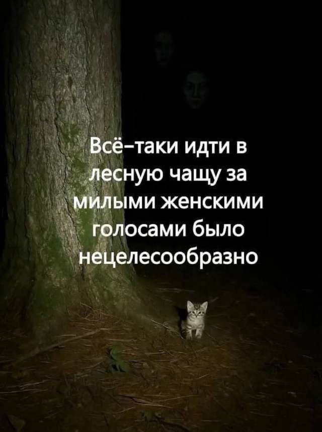 Лучшие шутки и мемы из Сети - 23.10.2025