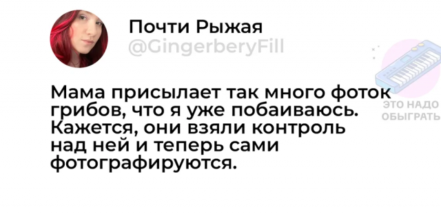 Немного грибного юмора