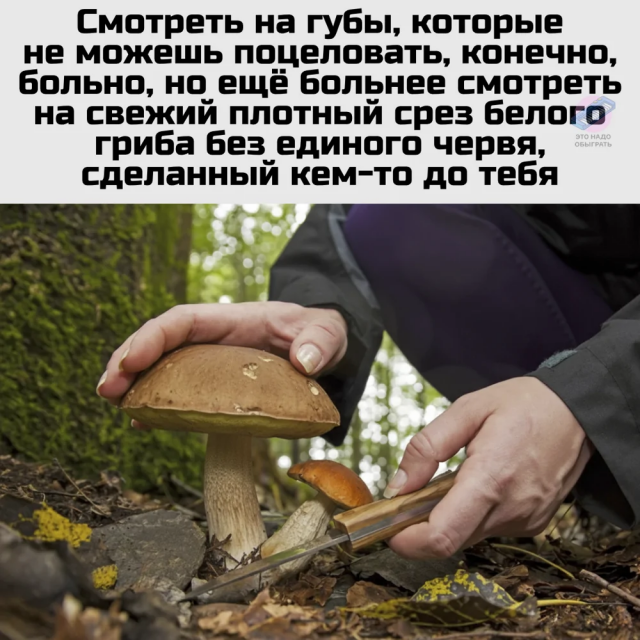 Немного грибного юмора