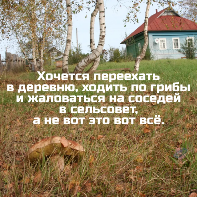 Немного грибного юмора