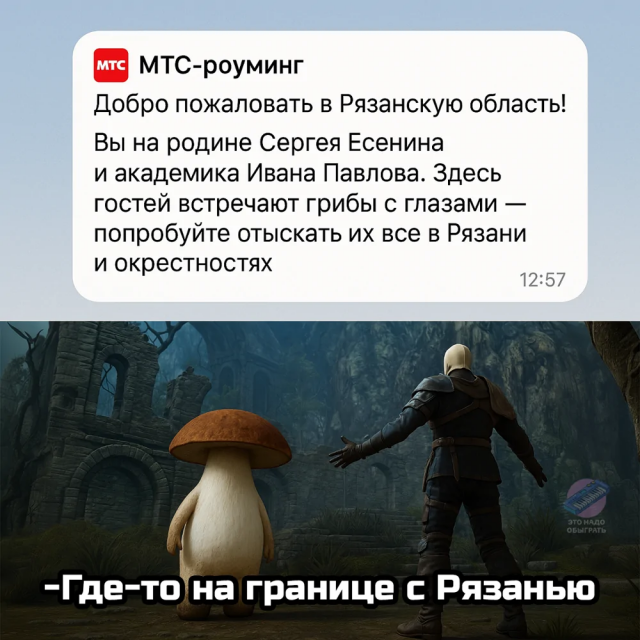 Немного грибного юмора