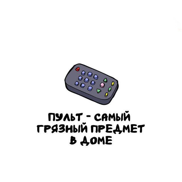 Интересные факты на все случаи жизни