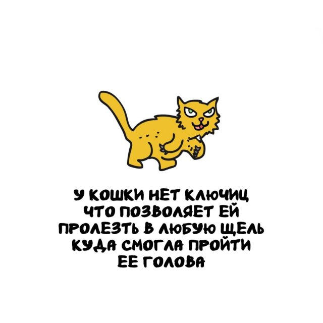 Интересные факты на все случаи жизни