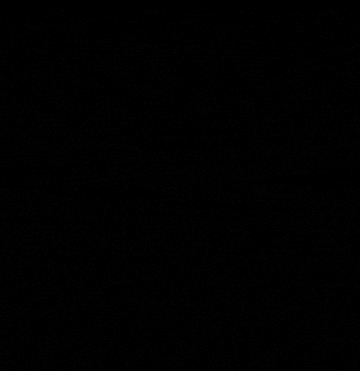 Подборка гифок -  24.08.2025