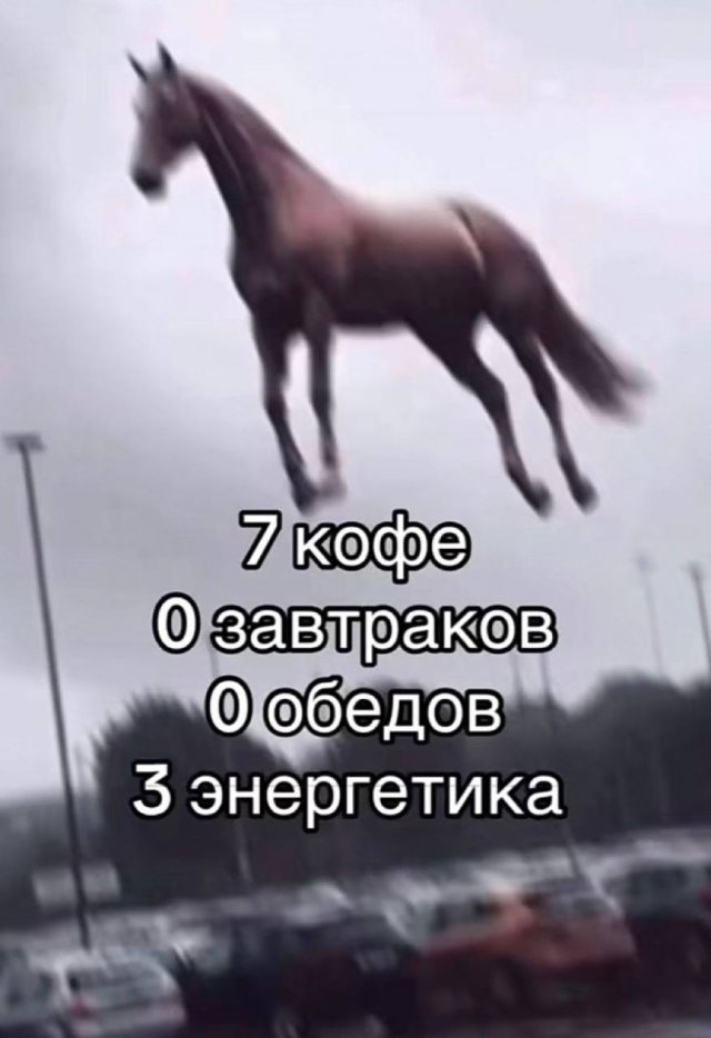 Лучшие шутки и мемы из Сети - 24.10.2025