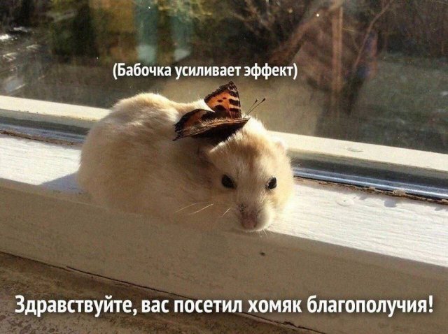 Лучшие шутки и мемы из Сети - 24.10.2025