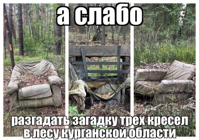 Лучшие шутки и мемы из Сети - 24.10.2025