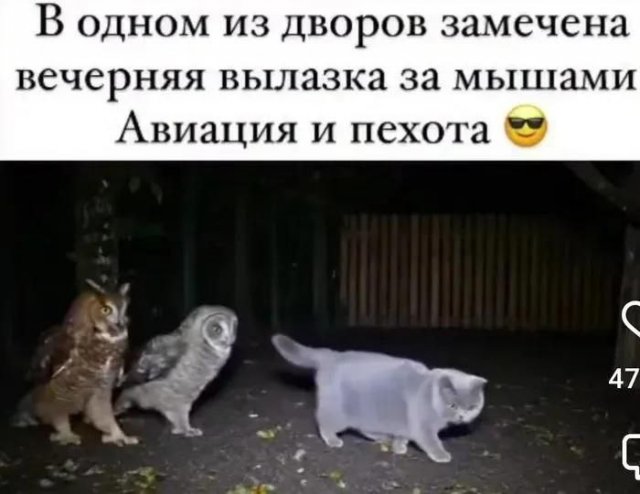 Лучшие шутки и мемы из Сети - 24.10.2025