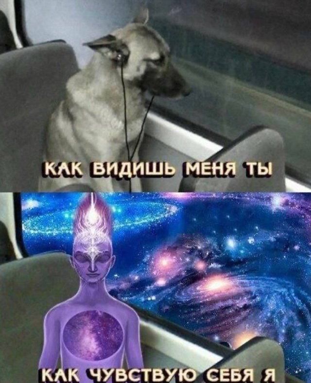 Смешные мемы - 27.10.2025