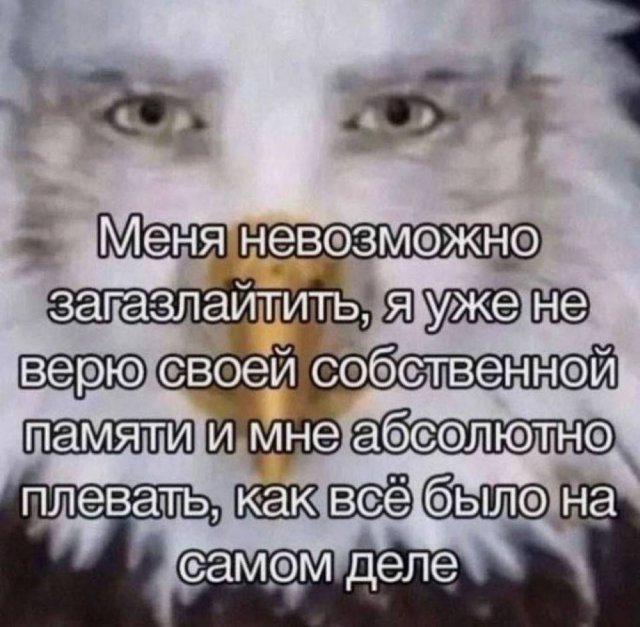 Смешные мемы - 27.10.2025