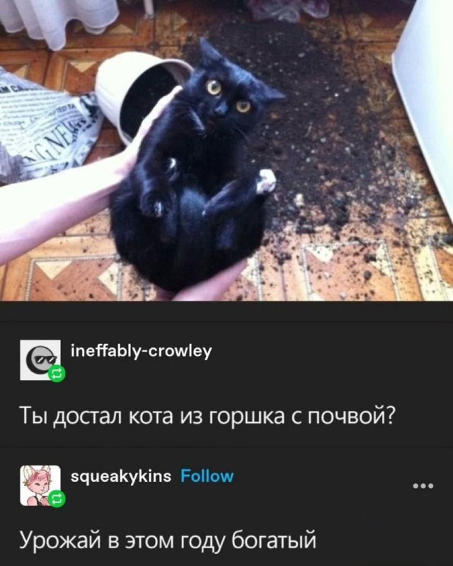 Смешные мемы - 27.10.2025
