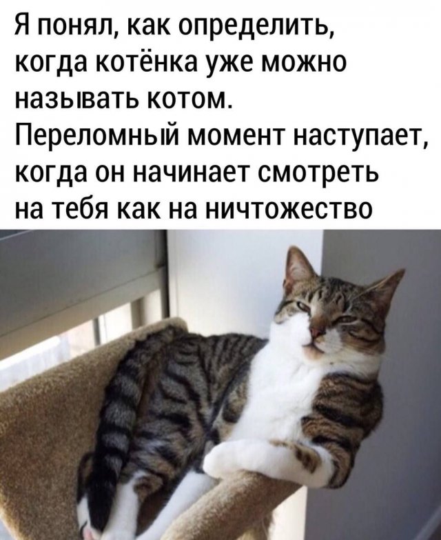 Смешные мемы - 27.10.2025
