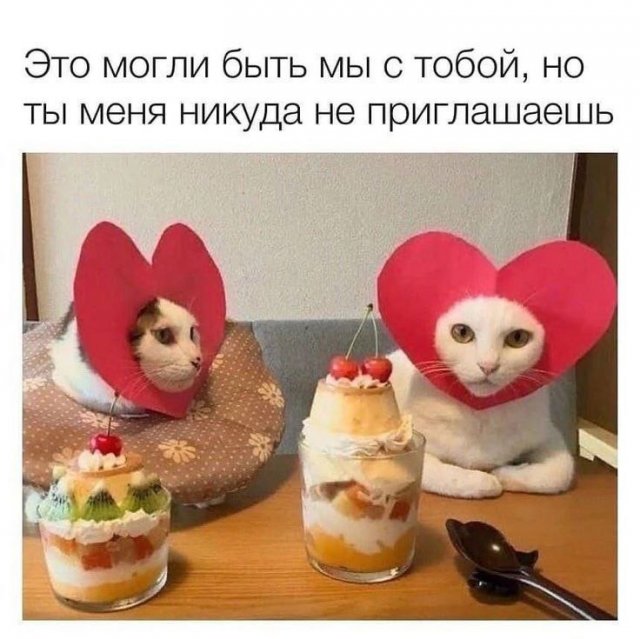 Смешные картинки - 27.10.2025