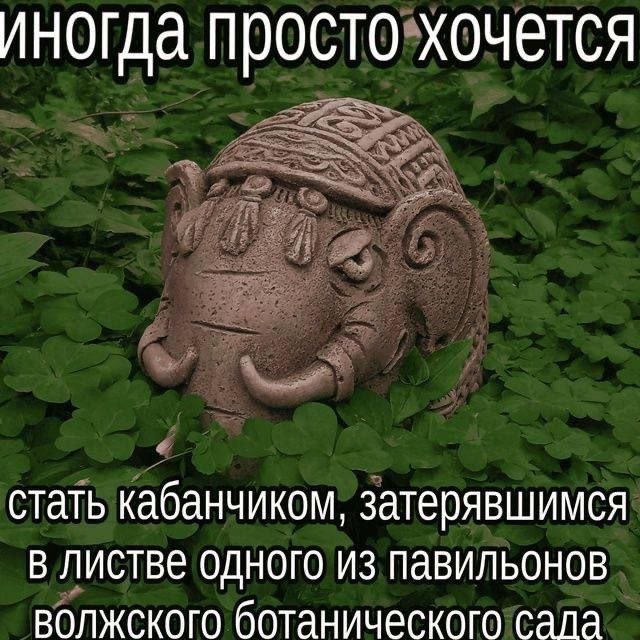 Смешные картинки - 27.10.2025